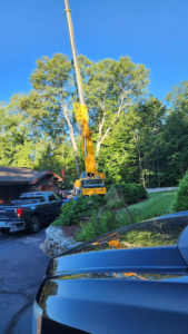 A large yellow crane extended for professional tree removal service by Out On A Limb Tree Service in Lowell, MA.