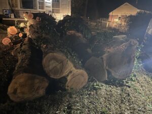 Large cut tree trunks and branches on the ground at night, showing recent tree removal by Arbor Elite SC in Columbia, SC.