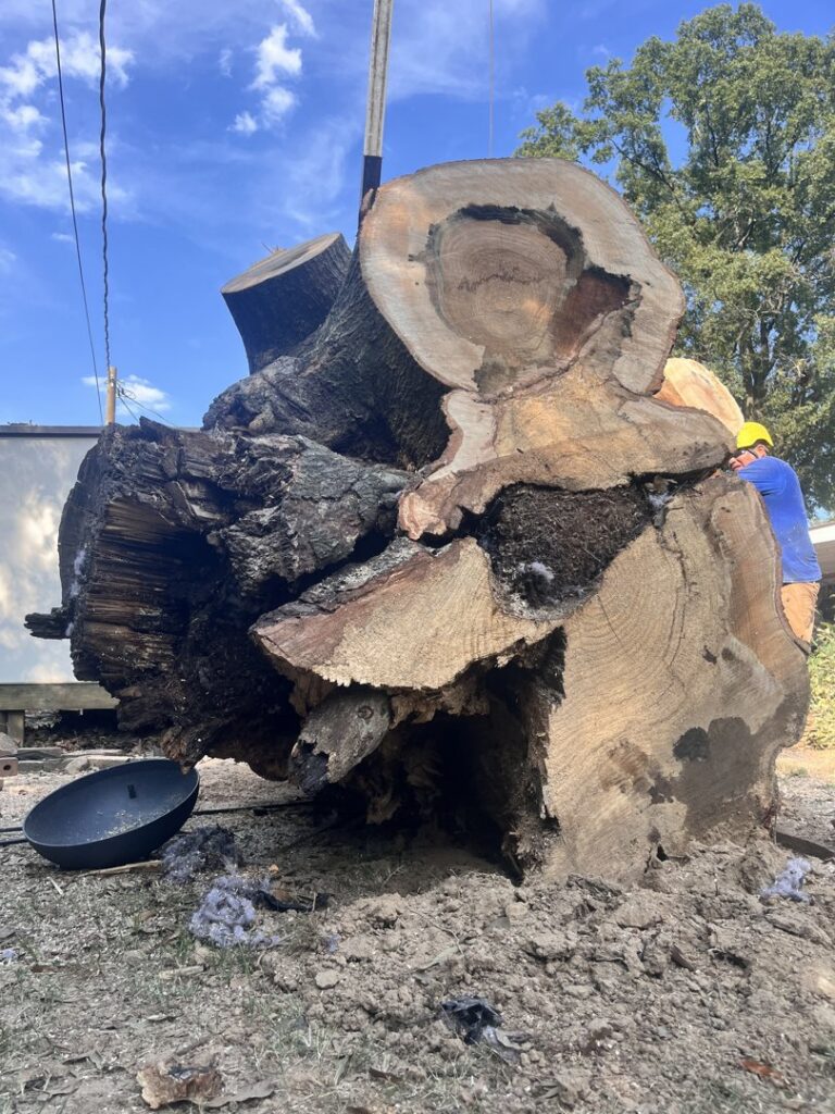 A large, heavily damaged tree stump after removal, showing the extent of the work by All Star Tree Service in Memphis, TN.