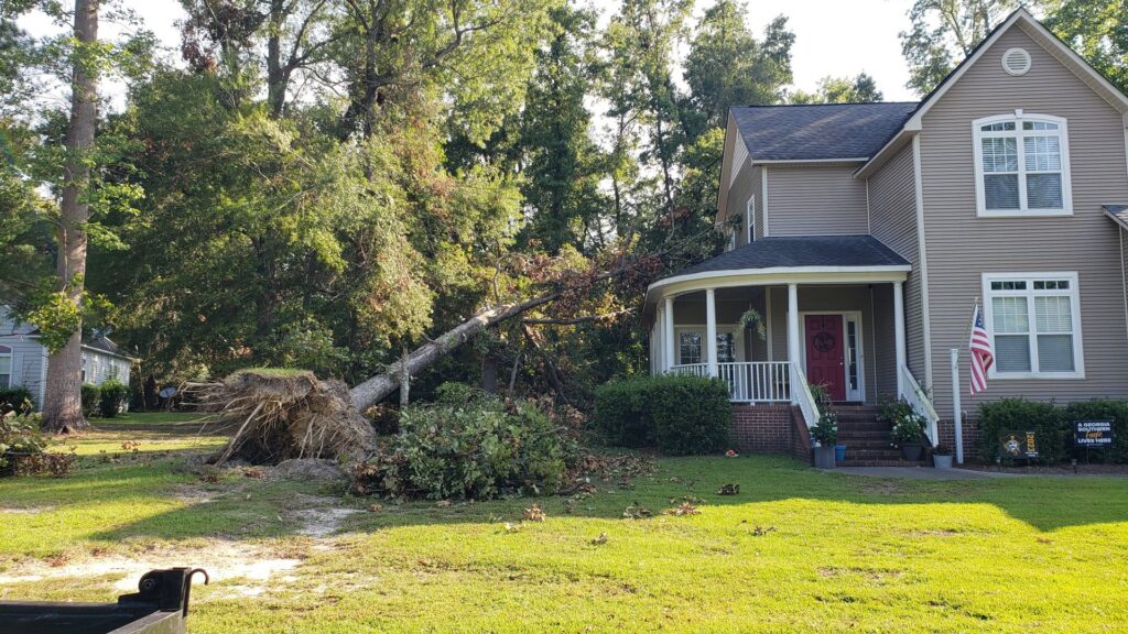 A large fallen tree in a residential yard, showing storm damage or a tree removal project by B&B Tree Service in Wilmington, NC.
