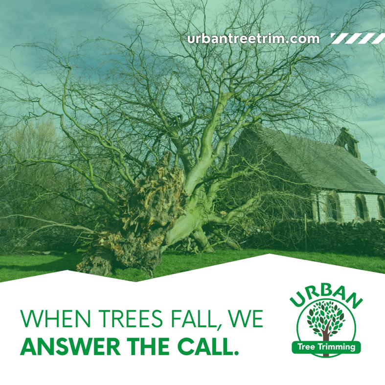 A large fallen tree with exposed roots, indicating a tree removal job for Urban Tree Trimming Services in Detroit, MI.