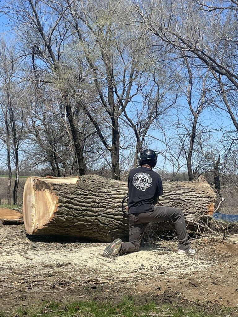 A worker kneeling next to a large cut log with a chainsaw after tree removal in Watertown, SD.