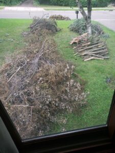 A large pile of branches and brush in a residential yard ready for removal by One Call Junk Removal in Minneapolis, MN