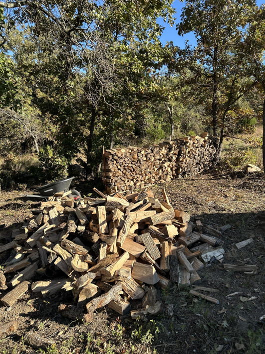 A large pile of freshly cut firewood in a wooded area, processed by Hickman Tree Service in Orangeville, PA.
