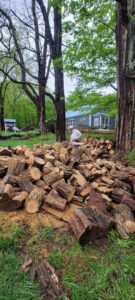 A large pile of freshly cut firewood and logs, indicating tree removal and processing by Lichen Trees in Brattleboro, VT.