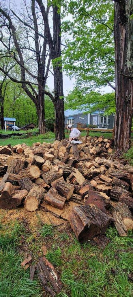 A large pile of freshly cut firewood and logs, indicating tree removal and processing by Lichen Trees in Brattleboro, VT.