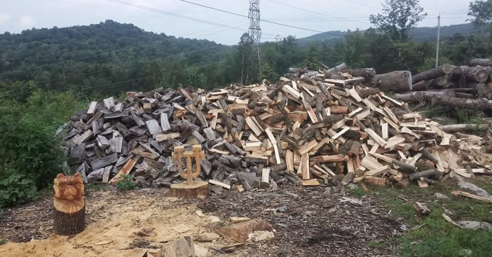A large pile of freshly cut firewood and logs from a tree removal service by Total Tree Service in Knoxville, TN.