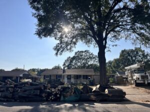 A large pile of cut tree logs and branches on the side of a road after removal by All Star Tree Service in Memphis, TN.
