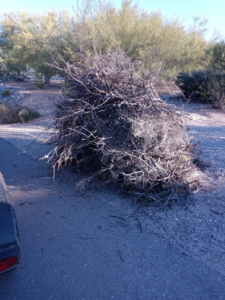 A large pile of dry branches and brush stacked on the side of a road, ready for yard waste removal by Vista Clean Junk Removal in Tucson, AZ.