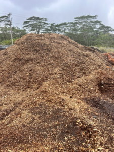 A large pile of fresh wood chips and mulch, a byproduct of tree services provided by Big Island Tree Service in Keaau, HI
