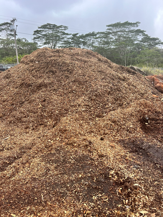 A large pile of fresh wood chips and mulch, a byproduct of tree services provided by Big Island Tree Service in Keaau, HI
