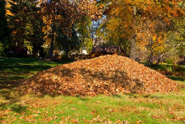 A large pile of fallen leaves in a grassy yard, indicating a yard cleanout job by Tj's junk removal LLC in Derry, NH.