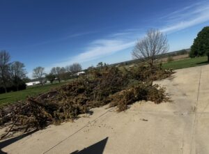 A large pile of tree branches and brush on a concrete driveway, indicating a yard waste removal service by Junk-O-Haulics in Westmoreland, TN.