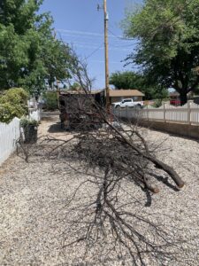 A large pile of tree branches and yard waste on a gravel driveway, ready for removal by YEE-HAul Trash Removal in St. George, UT.