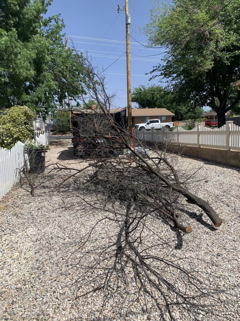 A large pile of tree branches and yard waste on a gravel driveway, ready for removal by YEE-HAul Trash Removal in St. George, UT.
