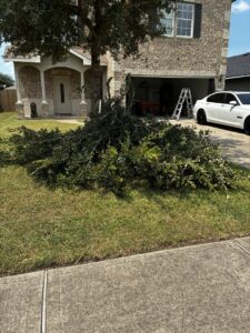 A large pile of trimmed branches and green waste on a residential lawn, ready for Handymen Junk Removal in Houston, TX.