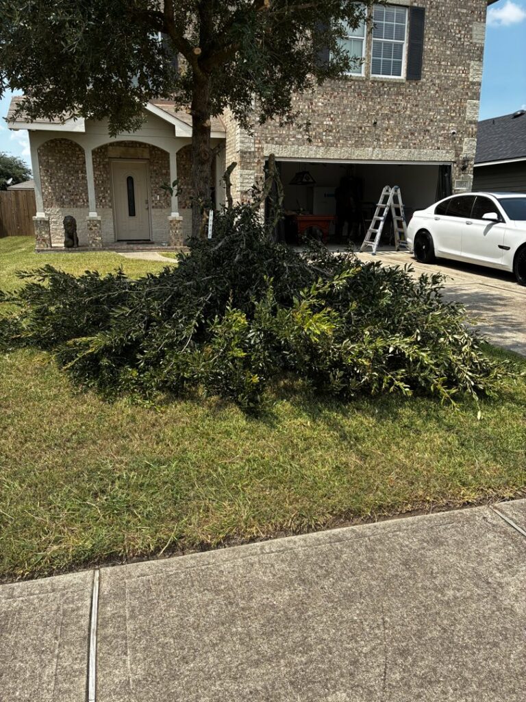 A large pile of trimmed branches and green waste on a residential lawn, ready for Handymen Junk Removal in Houston, TX.