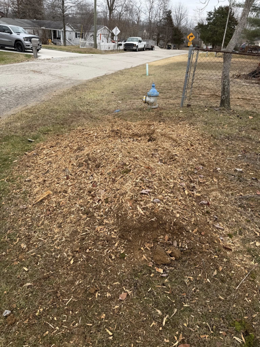 A large pile of wood chips on a grassy area, indicating recent tree service work by Farm Services in Scottown, OH.