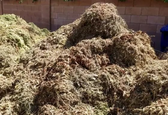 A large pile of wood chips and tree debris, showing the result of handyman tree services by Canopy Crafters in Rock Hill, SC.