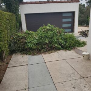 A large pile of green yard debris and branches on a patio, ready for removal by Eastlake Hauling and Junk Removal, LLC in Chula Vista, CA.