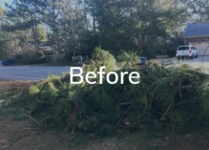 A large pile of tree branches and yard waste on the ground, ready for debris removal by 1-888-PIK-IT-UP in Cary, NC.