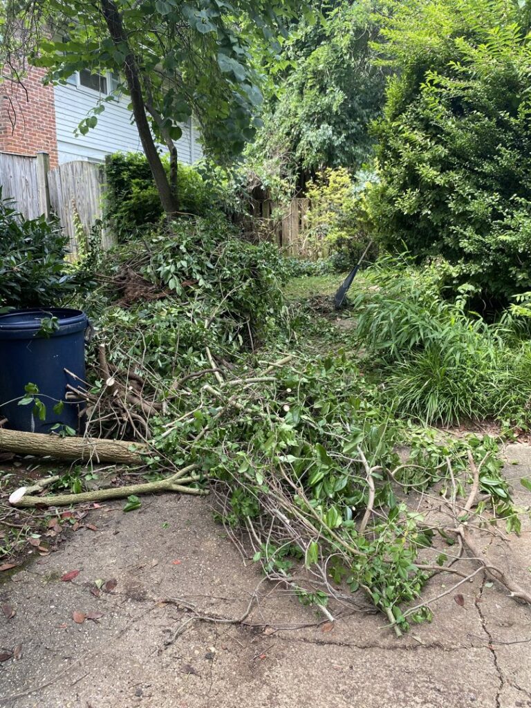 A large pile of green yard waste and branches on a driveway ready for removal by Navarro Demo LLC in Rockville, MD