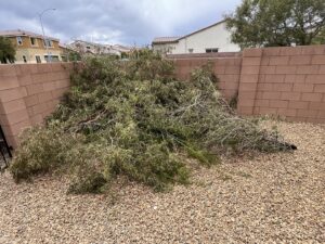 A large pile of green yard waste and tree trimmings against a wall, ready for removal by Road Dogz Hauling in Las Vegas, NV.
