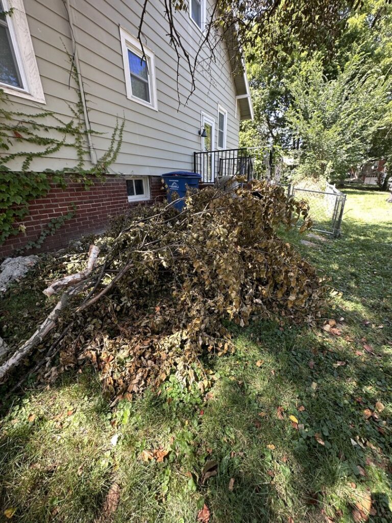 A large pile of tree branches and leaves next to a house, ready for yard waste removal by Vargas Junk Removal & Dumpster Rentals in Urbandale, IA.