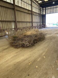 A large pile of tree branches and brush on the floor of a warehouse, ready for removal by Reno Junk Pros in Reno, NV.