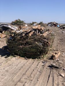 A large pile of tree branches and wood debris, representing the type of junk removed by RAAAM Dumpster Rentals in Salt Lake City, UT.