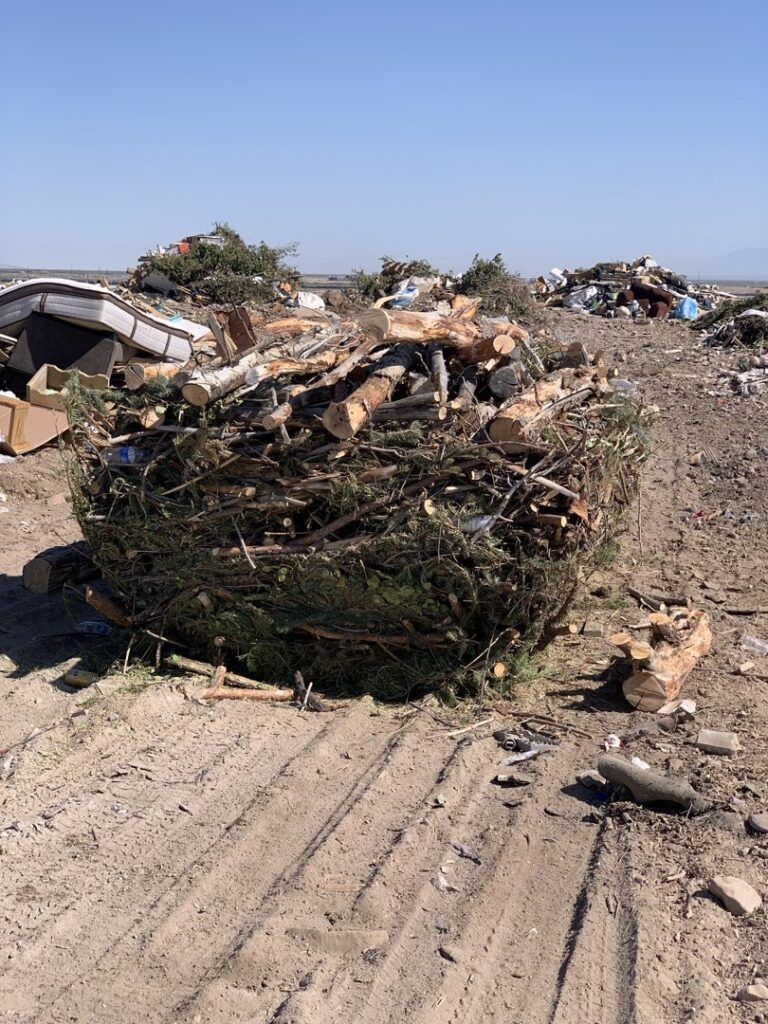 A large pile of tree branches and wood debris, representing the type of junk removed by RAAAM Dumpster Rentals in Salt Lake City, UT.