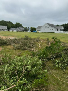 A large pile of tree branches and yard waste awaiting removal by DJ's Hauling & Junk Removal Services in Georgetown, DE.