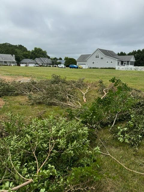 A large pile of tree branches and yard waste awaiting removal by DJ's Hauling & Junk Removal Services in Georgetown, DE.