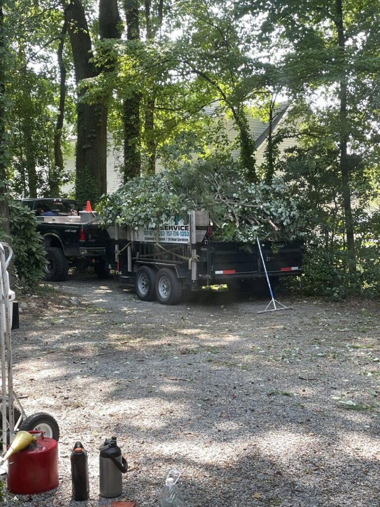 A large pile of tree debris on the ground after tree service work by Treetop's Tree Service in Chesapeake, VA.