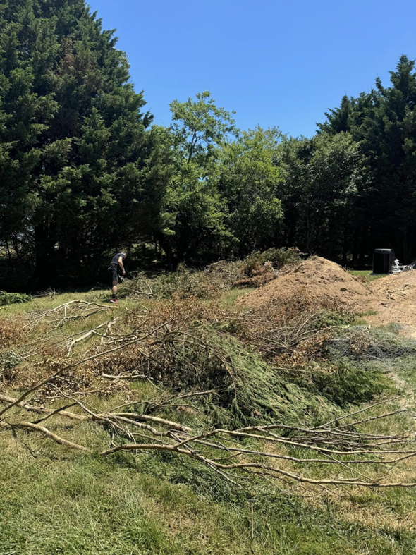 A large pile of yard debris and branches awaiting junk removal by DJ's Hauling & Junk Removal Services in Georgetown, DE.
