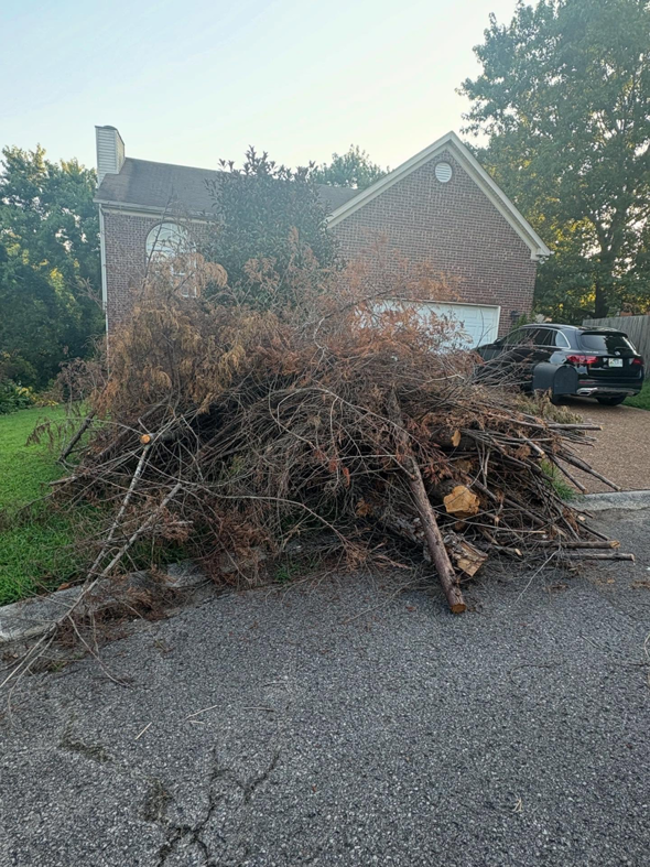 A large pile of branches and yard waste ready for removal by Fargo's Junk Removal in Nashville, TN.