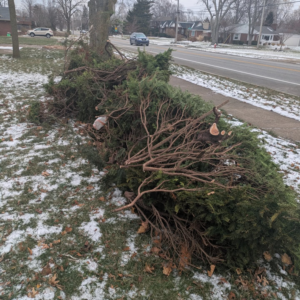 A large pile of yard waste and tree branches by the roadside for 5 Star Junk Removal, LLC in Elyria, OH