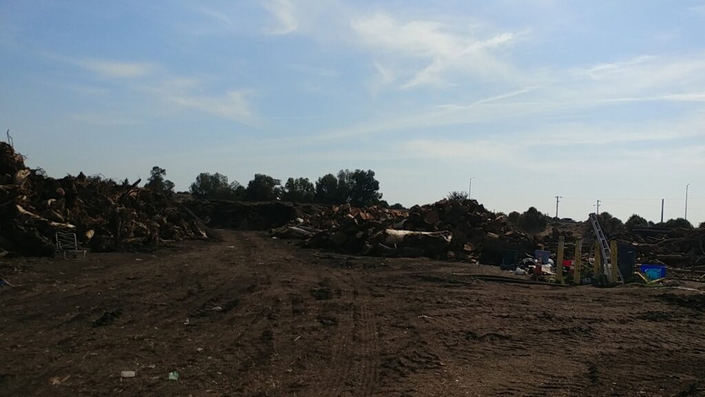 Large piles of wood debris and general junk at a waste processing site for West Coast Waste in Fresno, CA.
