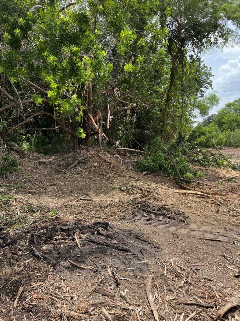 A panoramic view of a large land clearing project with a skid steer in the distance, performed by DLT Land Management in Tampa, FL.
