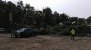 A large-scale tree clearing and processing site with heavy equipment and a Roman Tree Services LLC truck in Cambridge, MA.