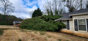 A large evergreen shrub or tree has fallen against a house, showing damage requiring removal by Joshua Tree Service in Smyrna, GA.