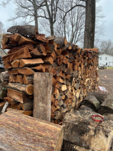 A large stack of freshly cut firewood logs, a result of tree service by Cornerstone Landscaping in Phoenix, AZ.