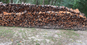 A large, neatly stacked pile of firewood from tree removal services by Hansen Tree Service in Abington, MA.