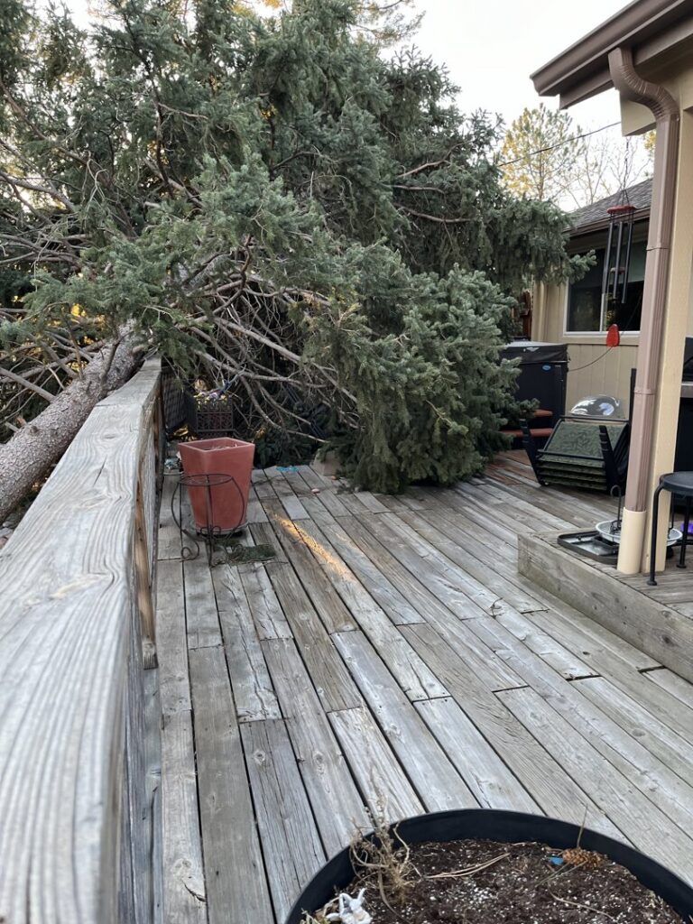 A large tree fallen onto a residential deck, requiring emergency removal by AAA Emergency Tree Service LLC in Denver, CO.