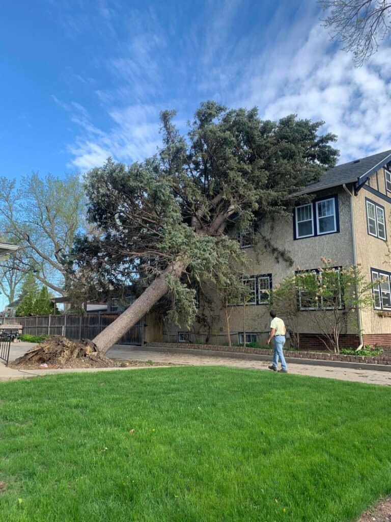 A large tree fallen and leaning against a multi-story house, requiring emergency tree removal by ArborMaster Tree Service Sioux Falls SD.