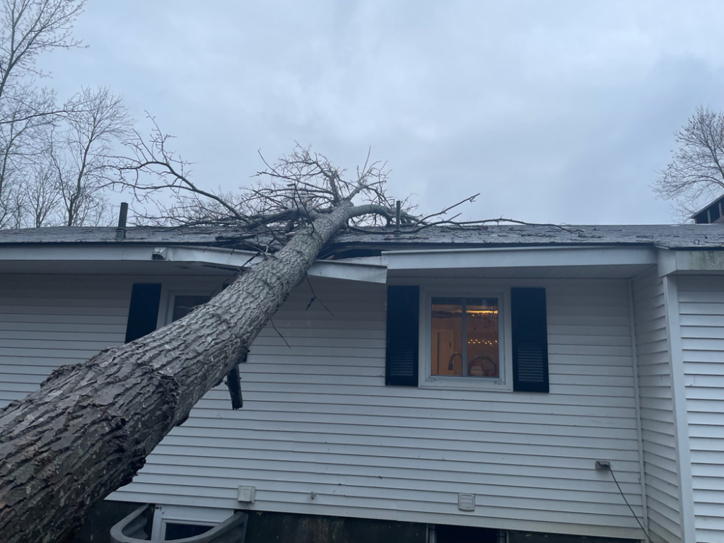 A large tree trunk fallen directly onto a house roof, requiring urgent tree removal from Black Fern Tree Service in South Portland, ME.