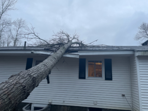 A large tree trunk fallen directly onto a house roof, requiring urgent tree removal from Black Fern Tree Service in South Portland, ME.