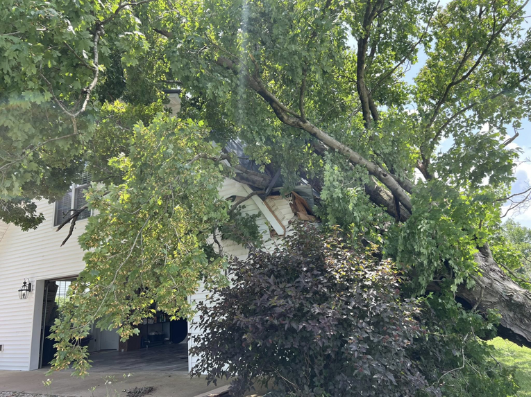 A large tree fallen on a house, causing significant damage, requiring tree removal by Hardin County Tree Service LLC Kentucky in Elizabethtown, KY.