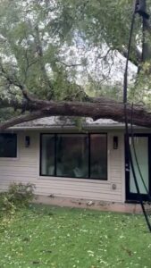 A large tree fallen onto a house, showing emergency tree removal needed from Austin Tree Specialists in Austin, TX.