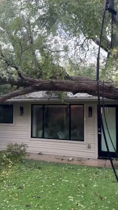 A large tree fallen onto a house, showing emergency tree removal needed from Austin Tree Specialists in Austin, TX.